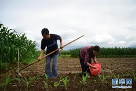 田埂间的曳步舞：用笑容给生活加点糖图片