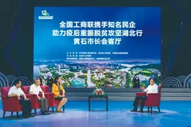 现场下单2590万！昨天，这些全国500强企业给黄石打call图片