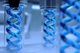 盘点游戏中10个瘟疫大爆发事件 感染力与杀伤力太恐怖图片