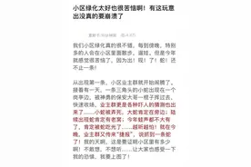 杭州一小区接连出现3条蛇，还是三角头......女业主吓到崩溃：是不是有蛇窝了图片