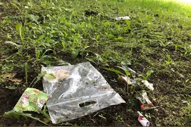 留下一地垃圾 儿童节怎可如此野餐图片