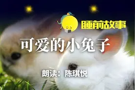睡前故事丨可爱的小兔子图片