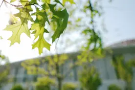 招募免费“体验官”！小姐姐们6.13组团来游奉贤吧！从400亩花海到美谷薅羊毛，帮你把一天安排妥图片