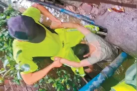 司机路边下车掉进下水道 虎门警民合力把他救上来图片