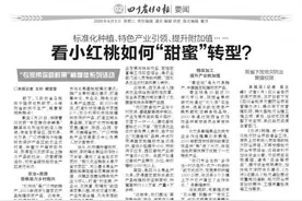 岷江犍为航电枢纽工程成功并网发电图片