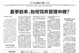 夏季到来，如何饲养管理中蜂？图片