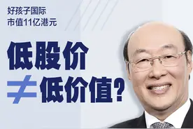 好孩子集团宋郑还：低股价不等于低价值，有计划补足线上短板图片