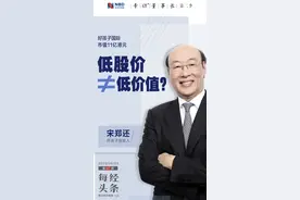 好孩子集团宋郑还：低股价不等于低价值，有计划补足线上短板图片
