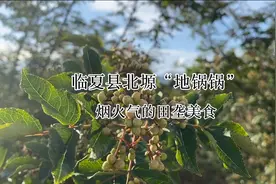 魅力临夏县丨北塬“地锅锅”烟火气的田垄美食图片