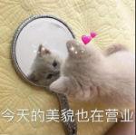 胶原蛋白可以让脸饱满么 2026年胶原蛋白可以让脸部变饱满吗