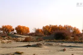 Vlog｜穿越塔克拉玛干沙漠 我们遇见了……视频封面