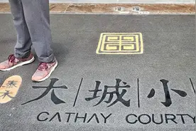 长兴岛“大城小院”要烂尾？停工一年多，开发商被约谈图片