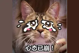 见面即分手！为追网恋对象小女孩跨越千里，结果“伤不起”……图片