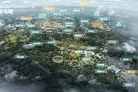 明年5月，成都大熊猫基地将解锁这些新耍法！图片