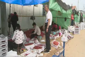 泰安肥城市经开区大王村：搭建樱桃交易市场 助力果农增收致富视频封面