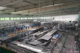 青啤第一工厂：青啤三厂6月底前将成百万千升“梦工厂”图片
