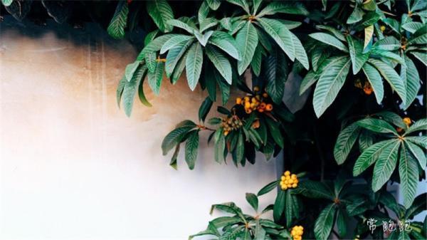 江浙沪最低调的常熟 内涵奢华宜居宜游欠吹捧