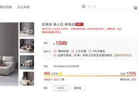 小米有品众筹电动沙发，掀起沙发智能化革命图片