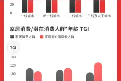 快手家居行业报告：新一线需求旺盛 二线城市新房装修占比6成图片