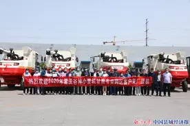 购谷神、战三夏，雷沃谷神甘肃用户再度上演“掘金行动”图片