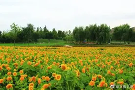 房山还有这么美的“精品公园”，你知道吗图片