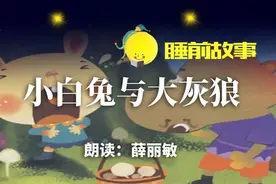 睡前故事丨小白兔与大灰狼图片