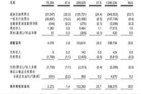 红星资本局｜泡泡玛特业绩坐火箭，是后浪的钱太好赚，还是盲盒令人流连图片