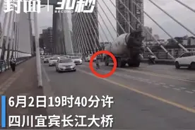 30秒｜5岁“熊孩子”蹬滑板车“自由驰骋”在大桥车流中图片