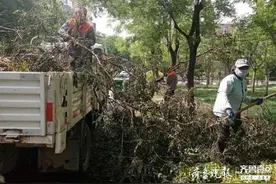丽日社区：清除垃圾，维护环境卫生图片