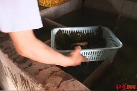 用养殖鱼冒充野生鱼卖 乐山一鱼馆被罚4500元图片