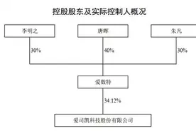 创业板首例借壳案尚存三大疑点，爱司凯头顶问号能过会吗？图片