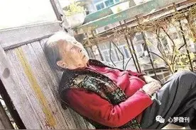 杨秀晶｜一生的等待图片