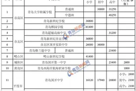 青大附中、超银…这13所民办学校收费标准调整(附收费表)图片