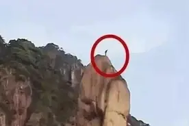 为啥？爬了三清山的这座峰，他们不仅要坐牢，还要赔600万！图片