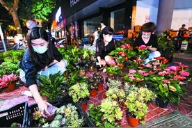 丹凤街：地摊摆起来 夜市逛起来图片