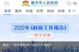 一个APP搞定！重庆个体工商户可以“掌上办照”了图片