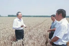头顶烈日，深入田间地头 省委书记在这两县宣讲调研图片