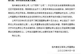 格林美：总经理蒋振康辞职 董事长许开华兼任总经理职务图片