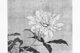 花之为姓，灼灼其华，为花取名也是大有讲究的图片