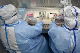 潍坊市首个县级核酸检测实验室正式启用图片