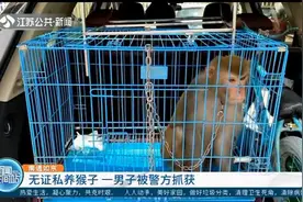 无证私养猴子？南通如东一男子被警方抓获，还含糊其辞不愿说实话视频封面