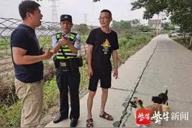 乌鸫幼鸟险成家犬美餐图片