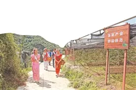 用才引才育才 激活发展密码图片