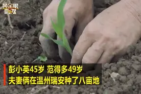 农民夫妻田间跳自创舞，火了！网友：羡慕，幸福是藏不住的图片