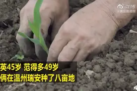 农民夫妻田间跳自创舞，火了！网友：羡慕，幸福是藏不住的图片