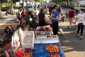 早安！济宁露水早市视频封面
