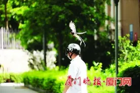 红嘴蓝鹊颜值高脾气坏，厦门居民戴上头盔防“愤怒的小鸟”空袭！（多图）图片