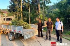 男子偷景观花木种自家菜地：想每天送一朵花给妻子图片