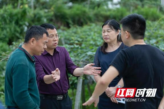 佳惠集团：打通湘西农产品出山“最先一公里”