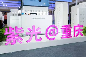 紫光集团股权巨变图片